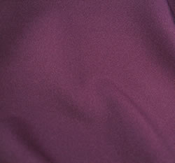 Polyester-Eggplant